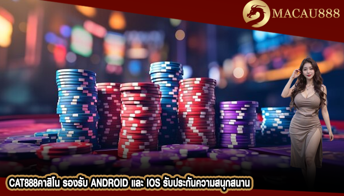 cat888คาสิโน รองรับ Android และ IOS รับประกันความสนุกสนาน